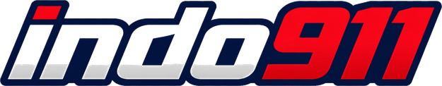 Logo indo911